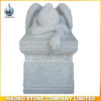 Haobo Products
