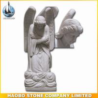 Haobo Products
