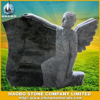 Haobo Products