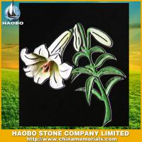Haobo Products