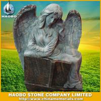 Haobo Products